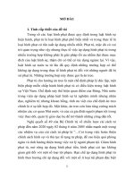 Áp dụng án treo theo pháp luật hình sự việt nam từ thực tiễn tỉnh quảng bình (tt)