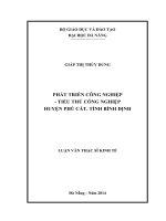 Phát triển công nghiệp-tiểu thủ công nghiệp huyện Phù Cát, tỉnh Bình Đinh