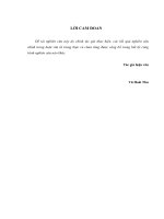 Một số giải pháp hoàn thiện hoạt động marketing – mix dịch vụ bán hàng trả góp tại công ty TNHH TM ACS việt nam 