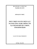Phát triển nguồn nhân lực ngành công nghiệp thông tin tại thành phố Quy Nhơn, tỉnh Bình định