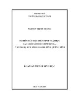 Nghiên cứu đặc điểm sinh thái học các loài Sâm đất (Sipuncula) ở vùng hạ lưu sông Gianh, tỉnh Quảng Bình