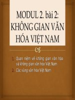 không gian văn hóa việt nam Cơ sở văn hóa Việt Nam