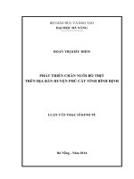 Phát triển chăn nuôi bò thịt trên địa bàn huyện Phù Cát tỉnh Bình Định