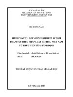 Áp dụng hình phạt đối với các tội xâm phạm sở hữu theo pháp luật hình sự việt nam từ thực tiễn quận 9, thành phố hồ chí minh (tt)