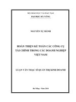 Hoàn thiện kế toán các công cụ tài chính trong các doanh nghiệp Việt Nam.