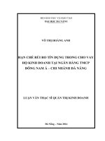Hạn chế rủi ro tín dụng trong cho vay hộ kinh doanh tại ngân hàng TMCP Đông Nam Á chi nhánh Đà Nẵng