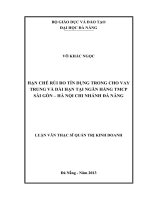 Hạn chế rủi ro tín dụng trong cho vay trung và dài hạn tại ngân hàng TMCP Sài Gòn - Hà Nội, CN Đà Nẵng