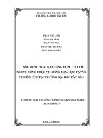 Xây dựng mẫu bộ xương Động vật có xương sống phục vụ giảng dạy, học tập và nghiên cứu