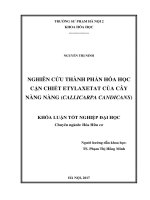 Nghiên cứu thành phần hóa học cặn chiết etylaxetat của cây nàng nàng (callicarpa candicans) (2017) 