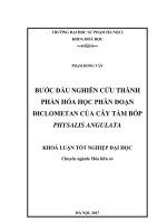 Bước đầu nghiên cứu thành phần hóa học phân đoạn điclometan của cây tầm bóp physalis angulata (2017) 