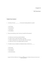 Psychology of success finding meaning in work and life 6th edition denis waitley test bank 