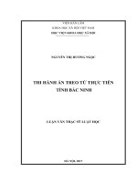 Thi hành án treo từ thực tiễn tỉnh Bắc Ninh (Luận văn thạc sĩ)