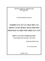 Nghiên cứu xử lý COD trong nước rỉ rác bằng phương pháp keo tụ điện hóa điện cực sắt (2017) 