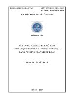 Xây dựng và khảo sát mô hình khối lượng neutrino với đối xứng vị A4 bằng phương pháp nhiễu loạn (LA tiến sĩ)