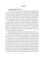 Tội tham ô tài sản theo pháp luật hình sự việt nam từ thực tiễn tỉnh bình định tt 