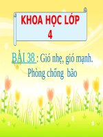 Bài 38. Gió nhẹ, gió mạnh. Phòng chống bão