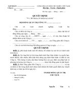 MAU QUYET DINH BO NHIEM BO NHIEM LAI