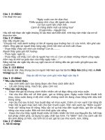 ĐỀ THI HỌC SINH GIỎI VĂN 9