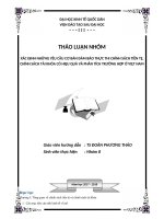 Tiểu luận xác định những yêu cầu cơ bản đảm bảo thực thi chính sách tiền tệ, chính sách tài khóa có hiệu quả 