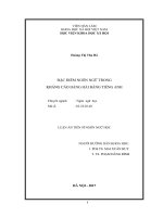 Đặc điểm ngôn ngữ trong Kháng cáo Hàng hải bằng tiếng Anh (Luận án tiến sĩ)