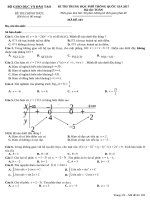 103 ĐỀ TOÁN KÌ THI TRUNG HỌC PHỔ THÔNG QUỐC GIA 2017