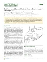 Broth from Canned Clams Is Suitable for Use as an Excellent Source of