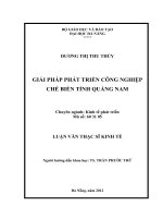 Giải Pháp phát triển công nghiệp chế biến tỉnh Quảng Nam