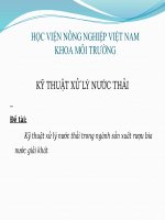 Kỹ thuật xử lý nước thải trong ngành sản xuất rượu bia nước giải khát 