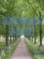 Ôn tập Chương III. Quan hệ giữa các yếu tố trong tam giác. Các đường đồng quy của tam giác