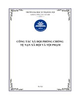 công tác xã hội phòng chống tệ nạn xã hội và tội phạm 