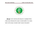 xây dựng kế hoạch  marketing cho sản phẩm sữa đậu nành mới của nhà máy sữa đậu nành việt nam vinasoy