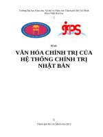 văn hóa chính trị của hệ thống chính trị nhật bản 