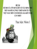 Thuyết trình rủi ro của tín dụng đen có tác động như thế nào đến sự phát triển kinh tế trên cơ sở đó đưa ra kiến nghị cần thiết 