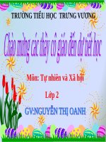 Bài 6. Tiêu hoá thức ăn