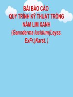 quy trình kỹ thuật trồng nấm lim xanh (ganoderma lucidum(leyss  exfr )karst  ) 