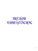 BÀI GIẢNG THỰC HÀNH VI SINH VẬT ỨNG DỤNG