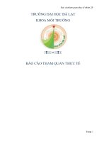 báo cáo tham quan thực tế nhà máy xử lý nước thải 