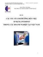 các yếu tố ảnh hưởng đến việc áp dụng internet trong các doanh nghiệp tại việt nam