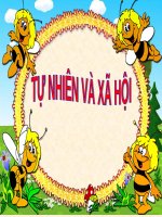 Bài 6. Tiêu hoá thức ăn