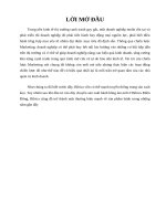 phân tích tài chính công ty bánh kẹo bibica 