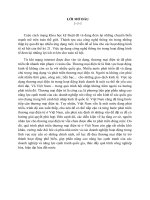 tăng trưởng phát triển kinh tế, vấn để sử dụng và phát triển thương mại điện tử ở việt nam 