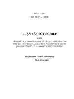 đánh giá thực trạng tài chính và các giải pháp nâng cao hiệu quả hoạt động sản xuất kinh doanh của chi nhánh miền bắc công ty cổ phần công nghiệp vĩnh tường 