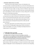 phân tích tình hình tài chính công ty cổ phần dệt lưới sài gòn 