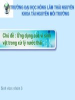 Ứng dụng của vi sinh vật trong xử lý nước thải 