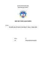 tìm hiểu căn cứ pháp lý của công ty tnhh 1 thành viên 