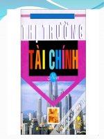 trinh bày về thị trường tài chính và thực trạng ở việt nam 