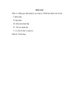 Những qui định pháp lý của công ty TNHH hai thành viên trở lên và bài tập tình huống 