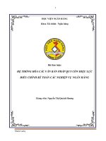 hệ thống hóa các văn bản pháp quy còn hiệu lực điều chỉnh kế toán các nghiệp vụ ngân hàng 