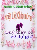 Tuần 11. Chuyện một khu vườn nhỏ