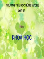 Bài 6. Từ lúc mới sinh đến tuổi dậy thì